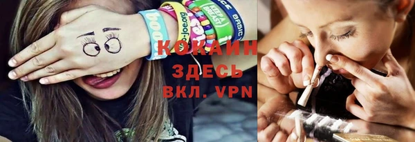 хмурый Ельня