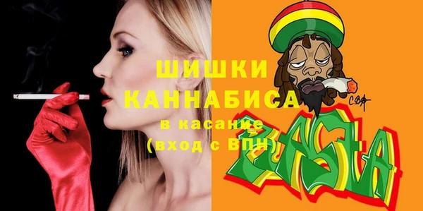 хмурый Ельня