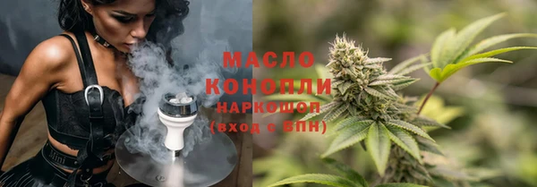 дмт Заводоуковск