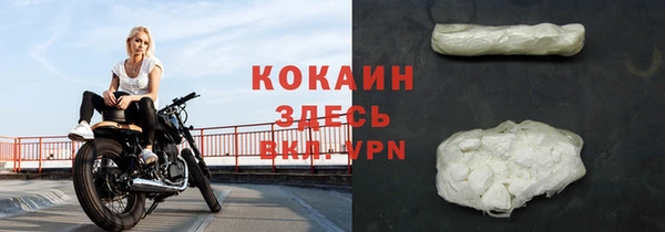 хмурый Ельня