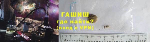 хмурый Ельня