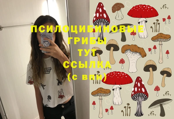 jwh Елабуга