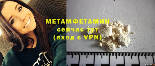хмурый Ельня