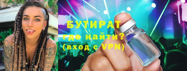 хмурый Ельня