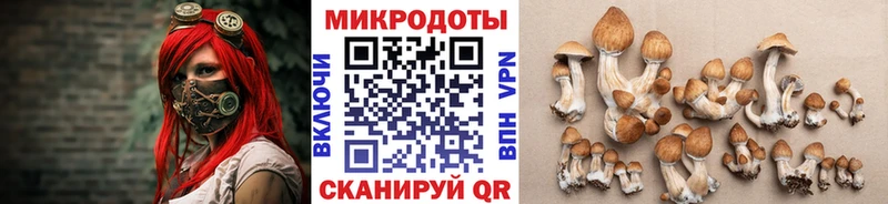 Псилоцибиновые грибы Cubensis  мега ссылка  Лянтор 